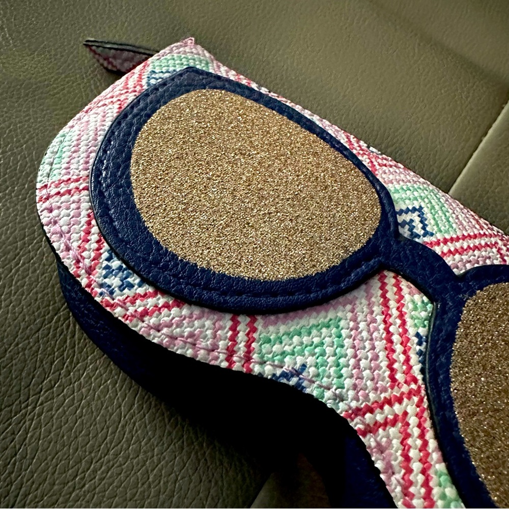 Sunglass case